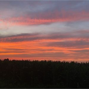 Meet your Posher, Aaron & jolene